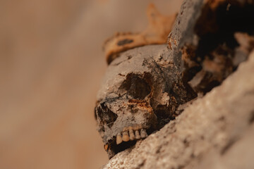 Ancient skull uncovered in catacomb depths