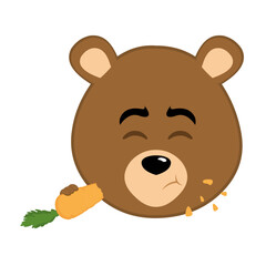 vector illustration face brown bear grizzly cartoon eating carrot vegetable food