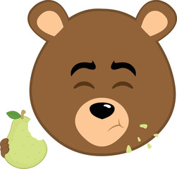 vector illustration face brown bear grizzly cartoon eating pear fruit