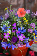 Bouquet of beautiful meadow flowers and poppy on dark wooden background indoors in natural light, still life with vivid wild colorful flowers and poppy, copy space