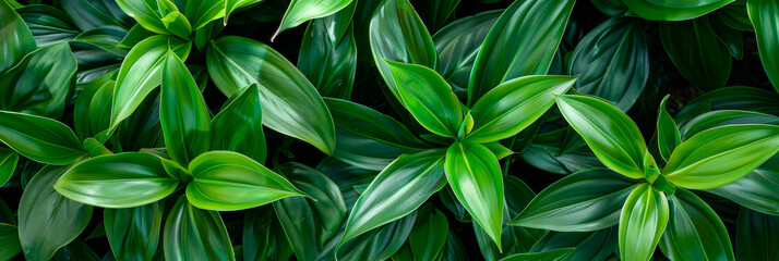 Obraz premium Lush Green Tropical Leaves Background - Vibrant Foliage Texture for Nature, Botanical, and Eco-Friendly Themes