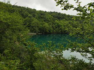lake in the forest