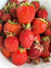 strawberries on a white background