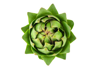 artichoke on white background isolated vegetable organic nutrition