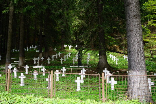 Sinaia old cemetery under the woods, Transylvania, Romania