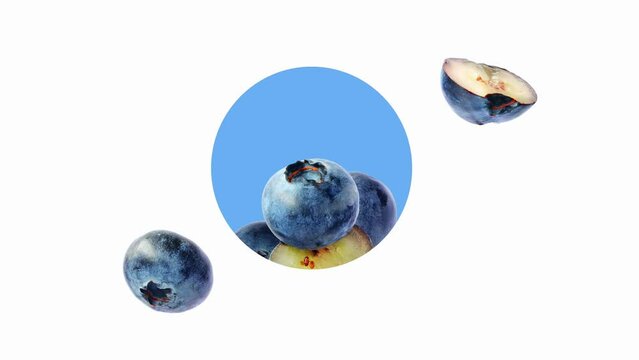 blueberry animation on blue and white background falling and coming back, making an infinite loop