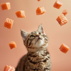 cat surrounded with floating salmon pieces pastel color background
