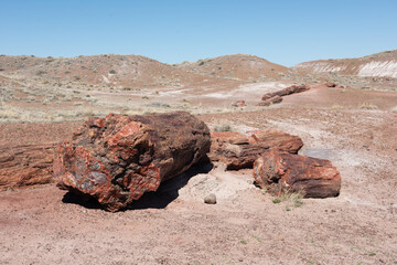 Petrified Forest National Park - Arizona