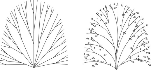 Vector silhouette illustration sketch detailed design of an artistic garden ornamental plant with lots of leaves and twigs