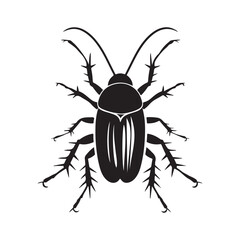 Cockroach Vector Art, Icons, and Graphics  isolated on white