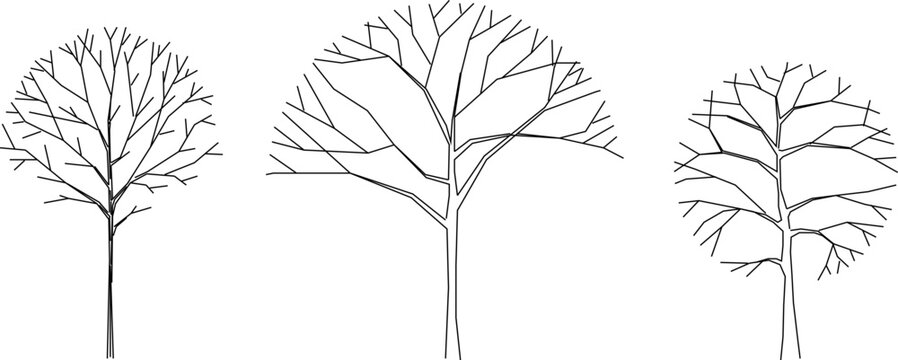 Vector silhouette illustration sketch, detailed artistic tree plant design for completeness of the image