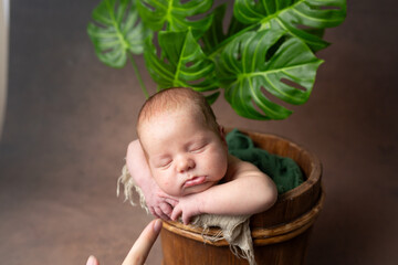 a baby sleeping in a pot with a plant in it