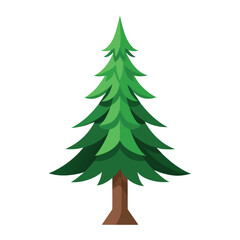 Spruce tree isolated on white