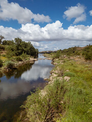Fototapeta premium Tagus River winds through a lush landscape in Vila Nova da Barquinha, with fluffy clouds reflecting on the calm water surface. Vegetation is scattered along the riverbanks