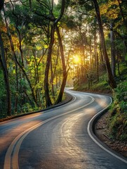 Fototapeta premium Forest Road