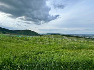 taking photo, Gopro, Wien Panorama im Herbst