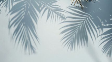 Blurred shadow from palm leaves on the white wall. Minimal abstract background.