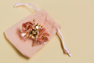 Obraz premium brooch in the shape of a beetle on a plush bag