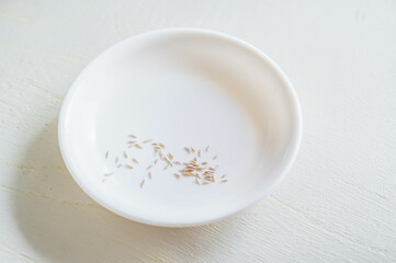 野菜のたね　サラダ菜