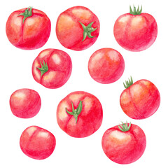 Set of watercolor tomatoes
