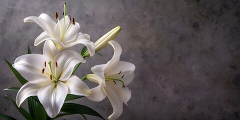 Sympathy card with lilies on neutral background offering words of comfort. Concept Sympathy messages, Lilies, Personalized cards, Words of comfort, Neutral backgrounds