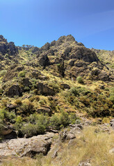 A rugged terrain under clear blue skies, adorned with green shrubbery