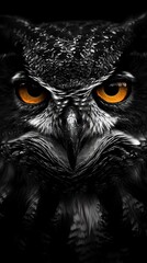 Clouds drift across the moon, a dance of light and shadow on the canvas of the night.