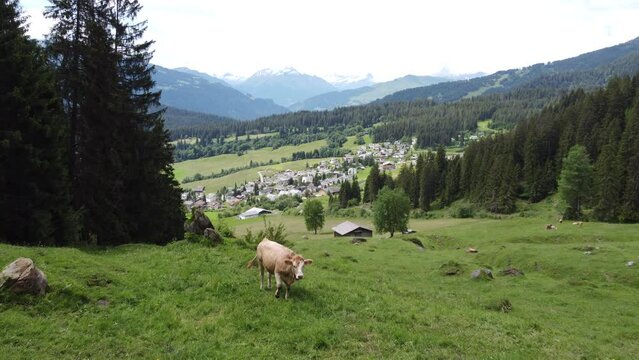 Postkartenidylle Schweiz: Blick auf Flims