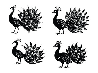 Peacock  silhouette   black color 