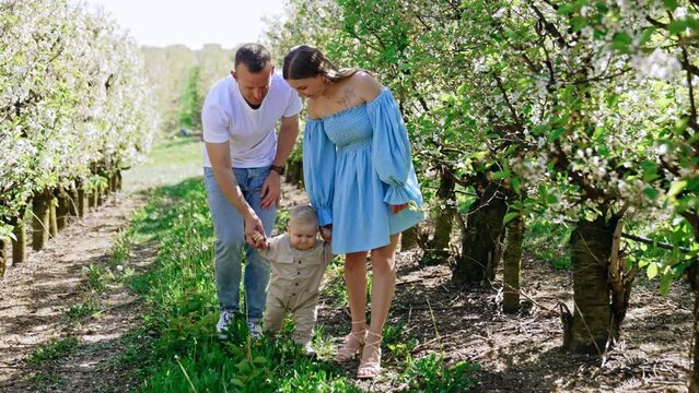 Mom and dad holding their baby stepping by the grass. Child's first steps outdoors in spring.