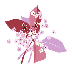 Photinia. A stylized bouquet of small white and pink photnia flowers with leaves. Vector illustration isolated on white background.