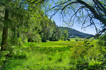 Landschaft nahe Lautenbach im Schwarzwald