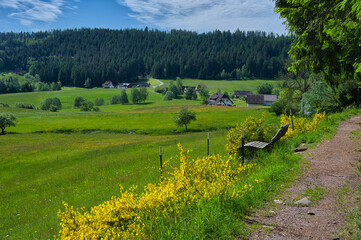 Landschaft nahe Lautenbach im Schwarzwald