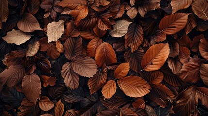 Fototapeta premium Natural background with brown leaves
