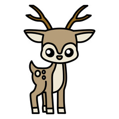 Deer