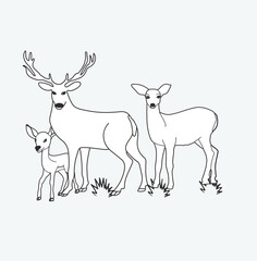 Vector Deer silhouette line drawing or Deer sketch illustration.