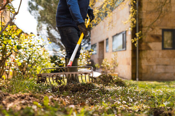Raking leaves in a sunny garden near a residential building