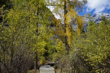 The Autumn in Siguniang Mountain at west of the capital city of Chengdu in Xiaojin country ,Sichuan ,China