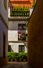 A beautiful white villa with plant pots outside is lit by the sunlight down a narrow backstreet in Seville, Spain 