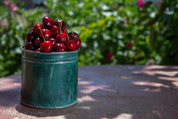 Fresh cherries straight from the garden, in green dishes, against a background of green leaves, the concept of healthy eating