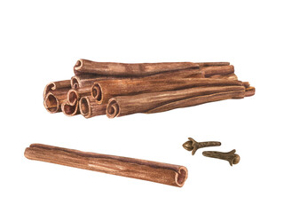 Cinnamon Sticks and cloves. Aromatic spice heap. Fragrant textured seasoning for medicine, food, Xmas drink. Watercolor illustration. Organic ingredient for cooking winter recipe, decor