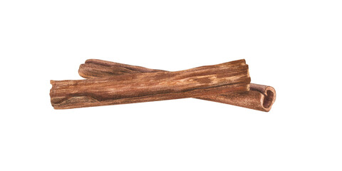 Two Cinnamon Sticks lying on top of each other. Natural raw organic spice from tree bark. Watercolor illustration of cinnamons. Fragrant ingredient for medicine, food and aromatherapy.