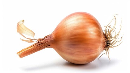 Isolated Onion on White Background with Clipping Path