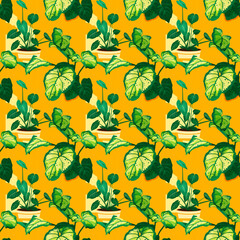Pattern of potted green plants on a yellow background.