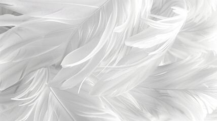 Fototapeta premium white feathers background, generative ai 
