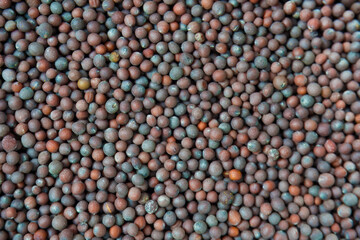 Brassica nigra, or organic black mustard seed, in macro close-up against a backdrop. An aromatic spice pile from India. top view