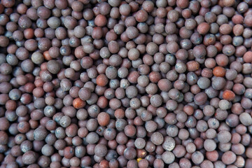 Close-up macro of an organic black mustard seed (Brassica nigra) against a backdrop. An assortment of fragrant Indian spices. upper perspective
