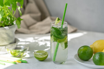 Summer citrus refreshing drink, green limes and lemons, mint in pot, glass with mojito cocktail drink on white table background with aesthetic natural sunlight shadows of leaves