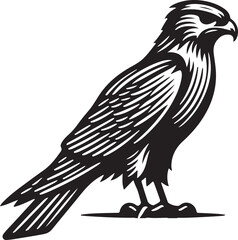 eagle on a white background