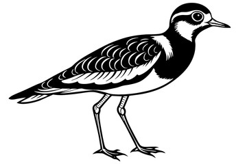 lapwing silhouette vector illustration